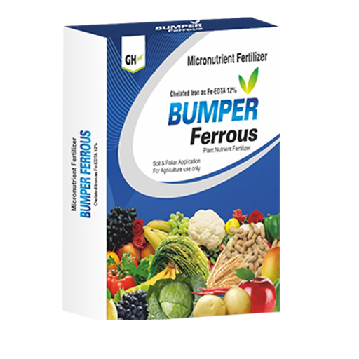Bumper Ferrous