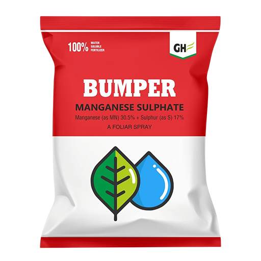 Bumper (MS)