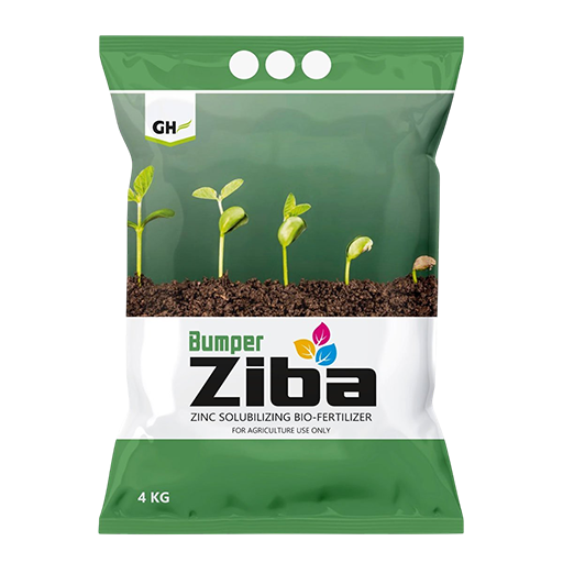 Bumper Ziba