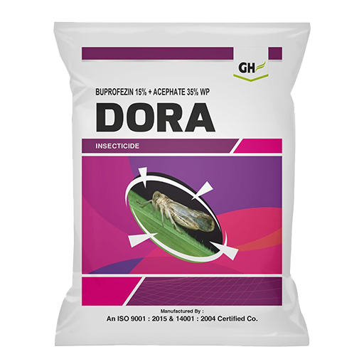Dora