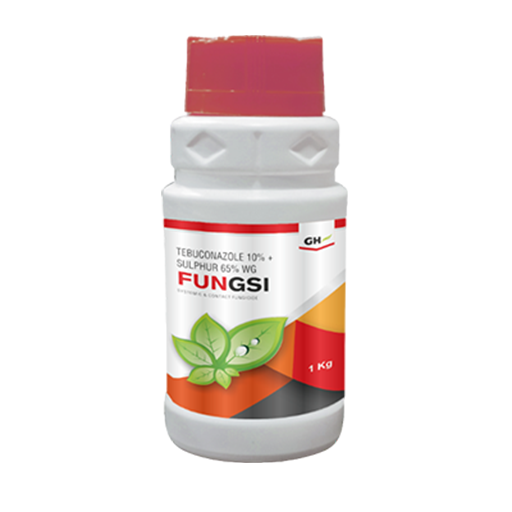 Fungsi