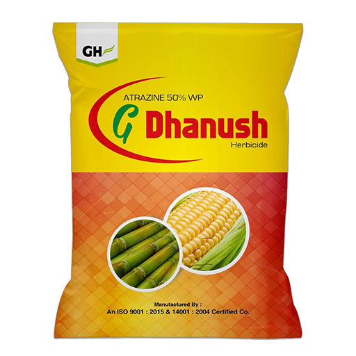 G-Dhanush