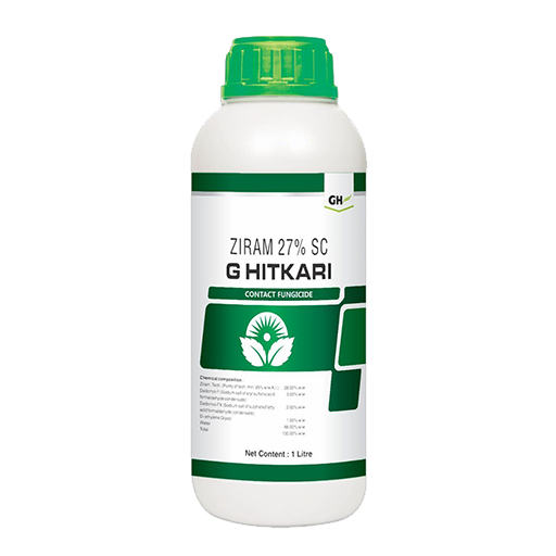 G-Hitkari