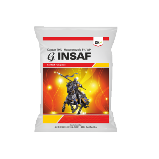 G-Insaf