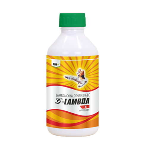 G-Lambda