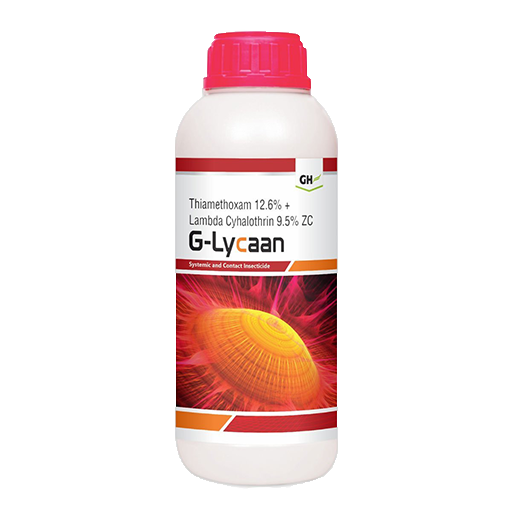 G-Lycaan