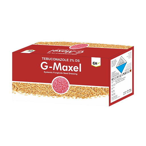 G-Maxel