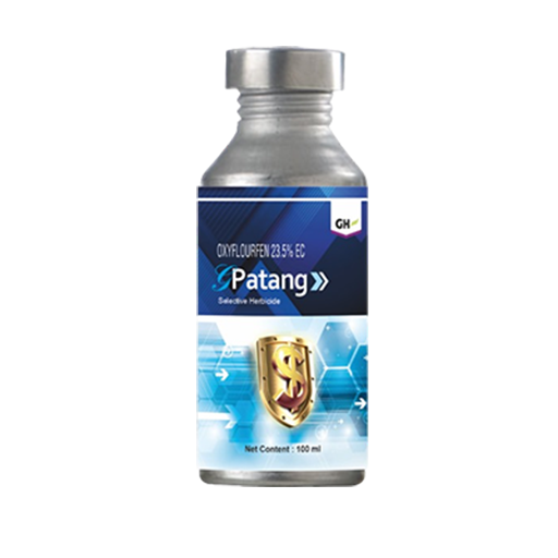 G-Patang