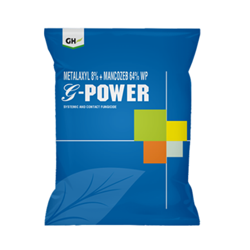 G-Power