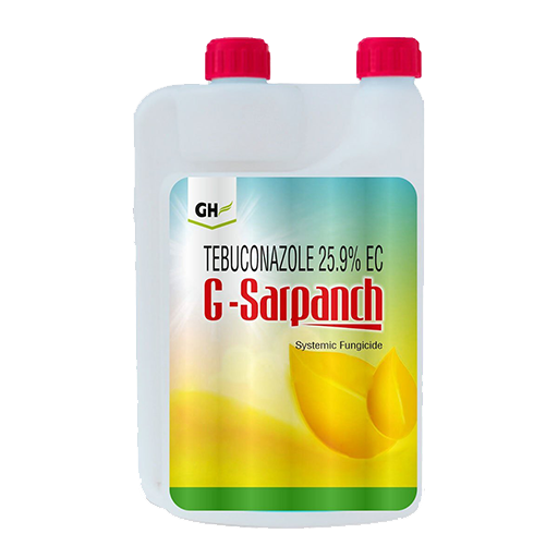 G-Sarpanch