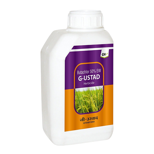 G-Ustad