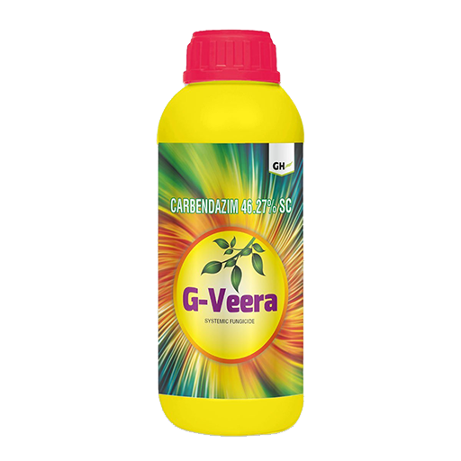G-Veera