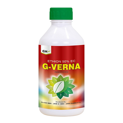 G-Verna