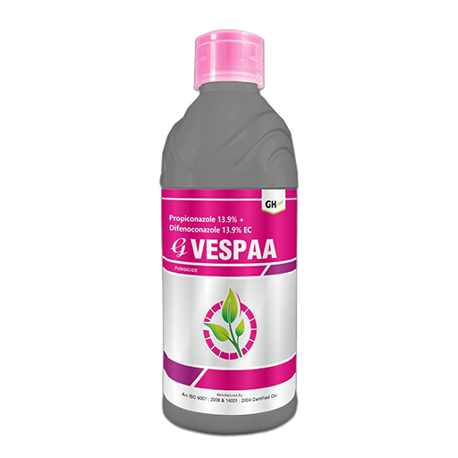 G-Vespaa