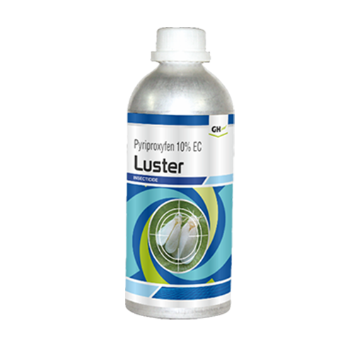 Luster