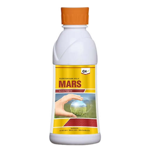 Mars