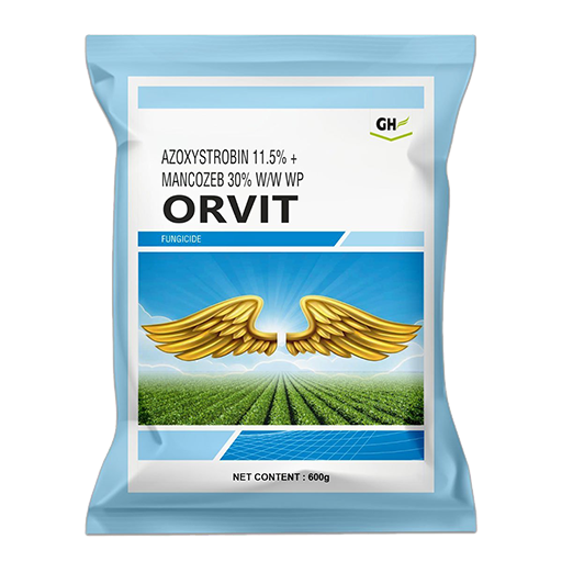Orvit