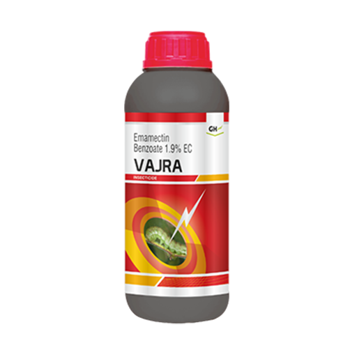 Vajra White / Plus