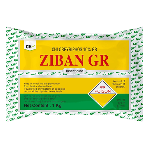 Ziban GR