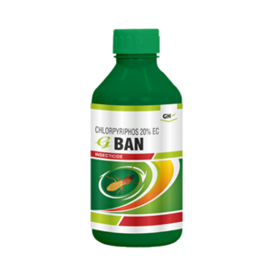 G-ban