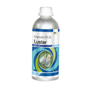 Luster